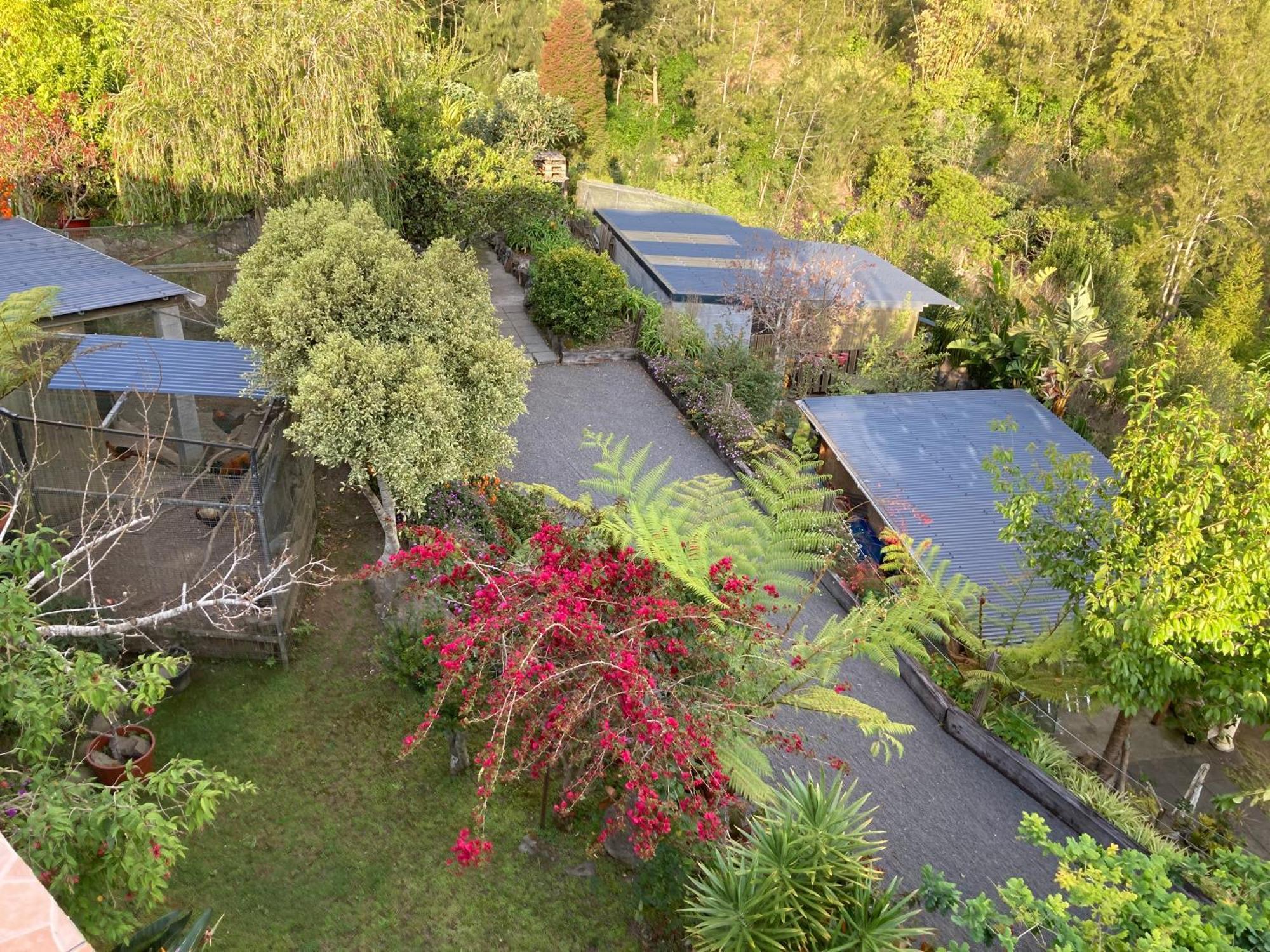 Les Begonias Vila Cilaos Exterior foto